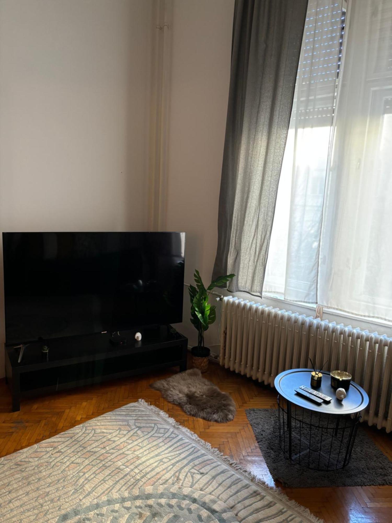 Central Apartment Next To The Elisabeth Bridge Budapeszt Zewnętrze zdjęcie
